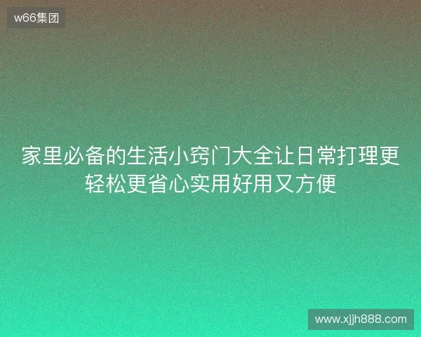 家里必备的生活小窍门大全让日常打理更轻松更省心实用好用又方便